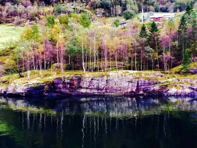 32.webp.jpg 好色先生视频