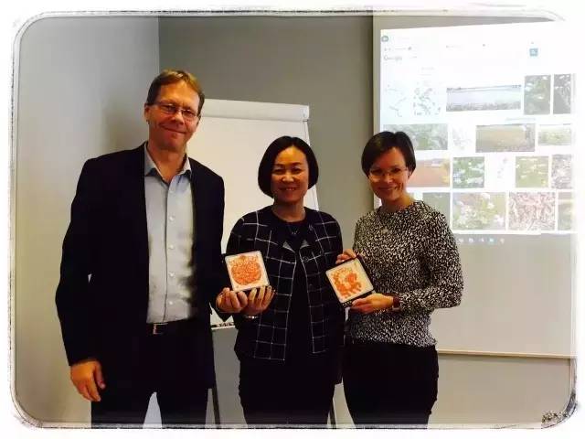 4.webp.jpg 好色先生视频