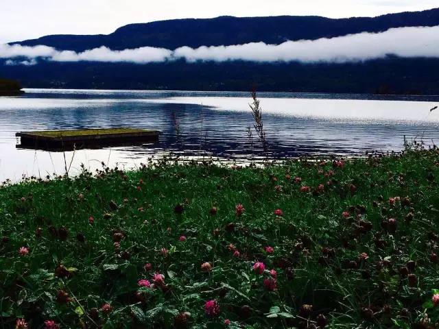 34.webp.jpg 好色先生视频