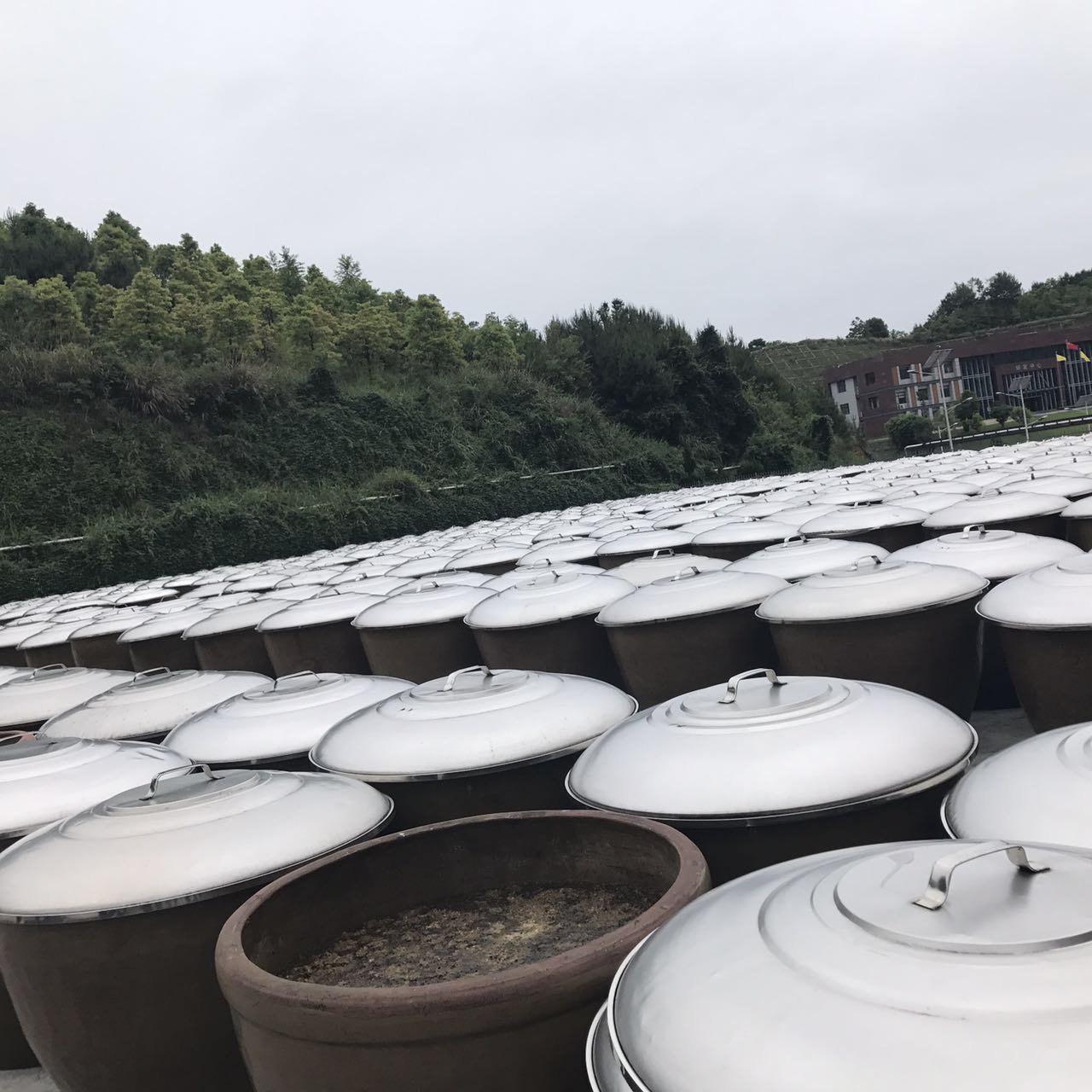 味.jpg 好色先生视频