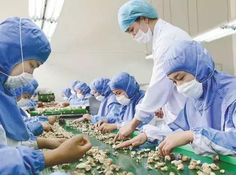 11.jpg 好色先生视频